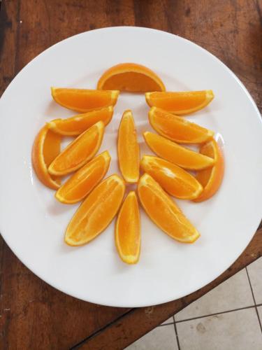 Jídlo v hotelu nebo okolí