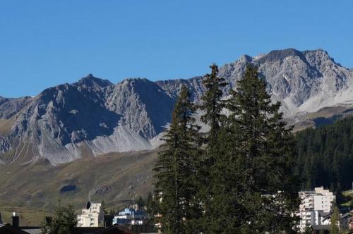 Paradies 411