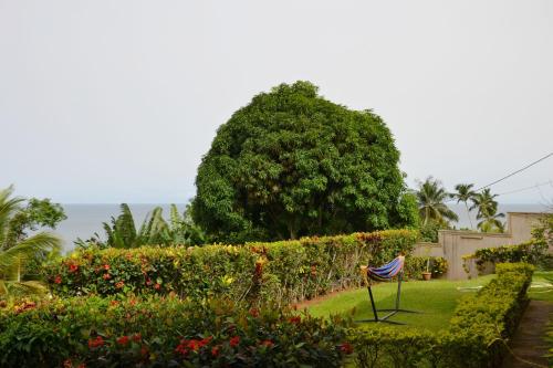 Gallery image of Villa les 3 oisillons in Kribi