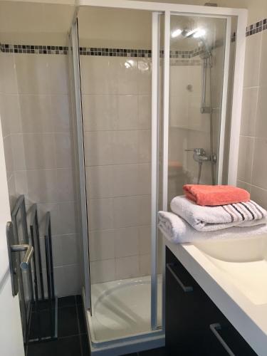 une salle de bain avec douche et lavabo dans l'établissement Vue Imprenable Sur Le Lac Du Bourget, au Bourget-du-Lac