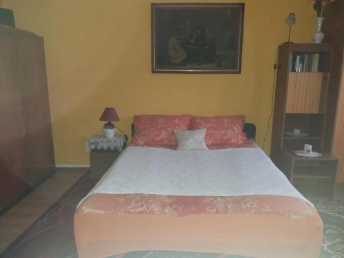 ザラカロシュにあるErdész Lakのベッドルーム1室(大型ベッド1台、赤い枕付)