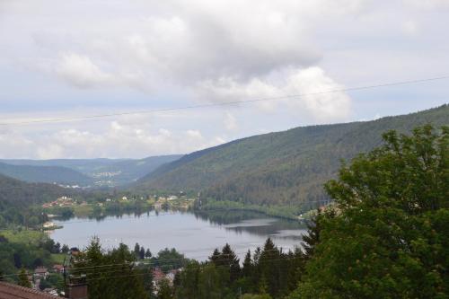 Les Loges du Lac - Appartement avec Terrasse