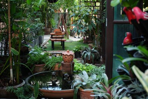 a garden with a fountain in the middle of a yard at The White Elephant Home in Chiang Mai
