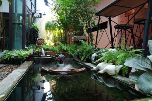 a garden with a fish pond in a building at The White Elephant Home in Chiang Mai