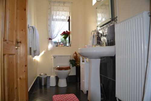 y baño con lavabo blanco y aseo. en Weir view Bed and Breakfast, en Durrow