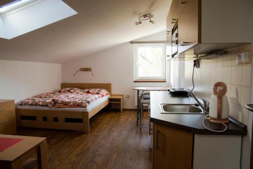 a bedroom with a bed and a kitchen with a sink at Penzion Starobor in Sedlice