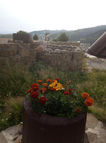 a pot of flowers sitting on a stump at Khatky Na Penkakh in Vorokhta
