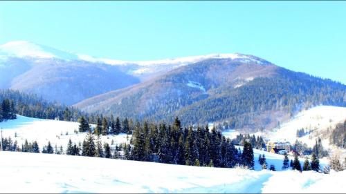 a snowy mountain with trees and mountains in the background at Sadyba Domashniy zatyshok in Pilipets