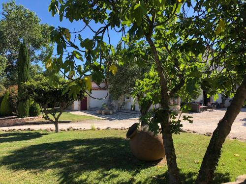 a large vase sitting under a tree in a park at B&B El Ranxo in Franciach