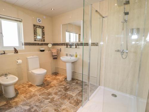 a bathroom with a toilet and a shower and a sink at Manor House in Warkworth
