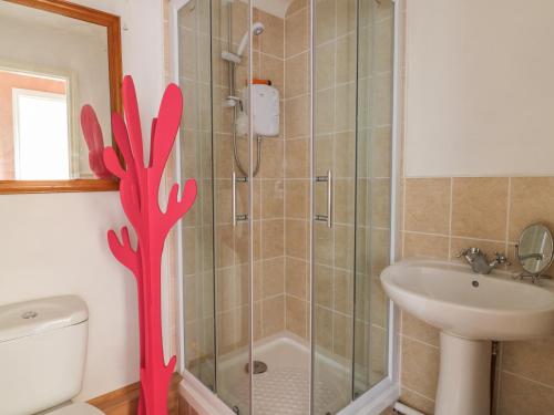 a bathroom with a shower and a toilet and a sink at Little Beck Cottage in Harleston