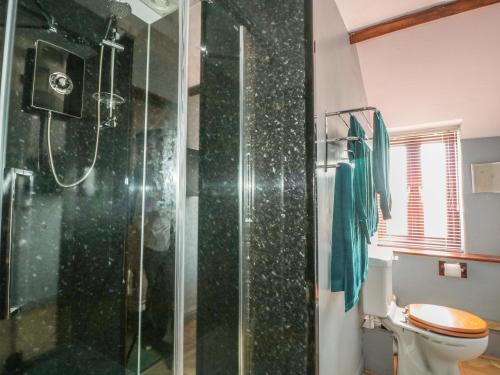 a bathroom with a glass shower with a toilet at The Courtyard in Kington