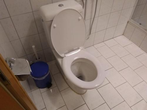 カプルーンにあるApartment Green Homeのバスルーム(白いトイレ、青いゴミ箱付)