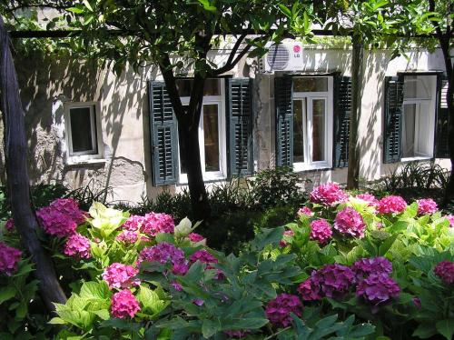 a garden of flowers in front of a house at Studio Elly in Dubrovnik