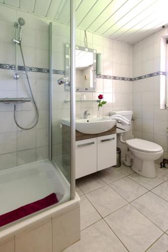 a bathroom with a shower and a sink and a toilet at Haus Hafeneck mit Frühstücksoption in Bensersiel