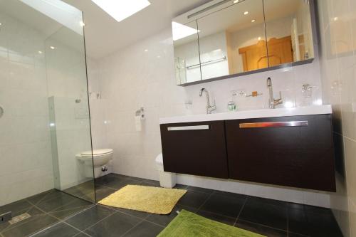 ein Badezimmer mit einem Waschbecken, einem WC und einem Spiegel in der Unterkunft Pittlanderhof in Innsbruck