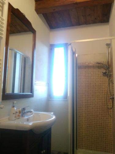 a bathroom with a sink and a shower at L'Uliveto in Reitano