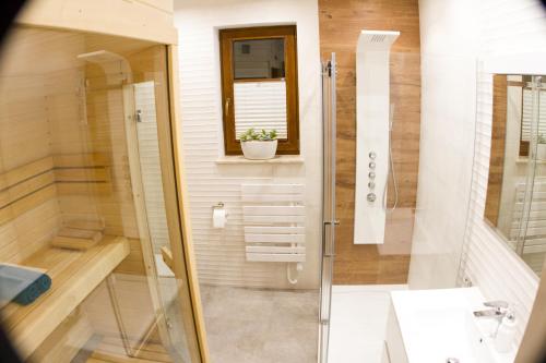 a bathroom with a shower and a sink at Apartament Góralka in Jaworki