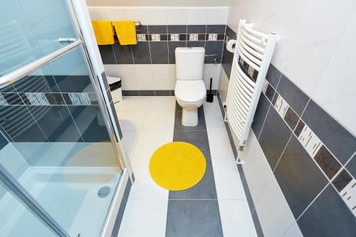 a bathroom with a toilet and a walk in shower at Vila Poule in Bohutín