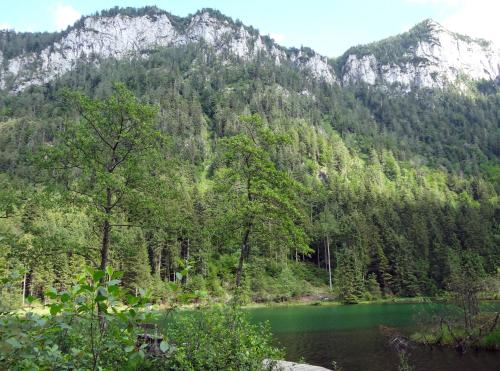 a lake in the middle of a forest with mountains at Alpenhotel Gastager in Inzell