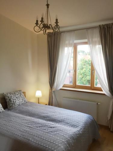 Nemunas Street Apartment