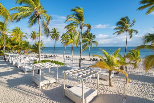 - une rangée de chaises blanches sur une plage bordée de palmiers dans l'établissement Catalonia Punta Cana - All Inclusive, à Punta Cana