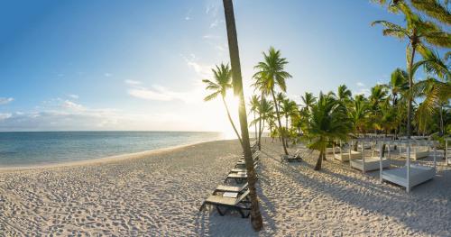 uma praia com cadeiras e palmeiras e o oceano em Catalonia Punta Cana - All Inclusive em Punta Cana