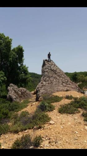 Un paisaje natural cerca de la casa de huéspedes