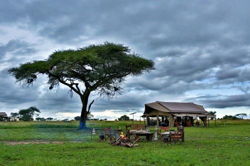 Gallery image of Pumzika Luxury Safari Camp in Banagi