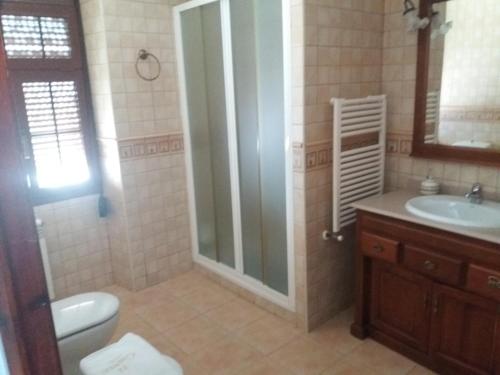 a bathroom with a shower and a toilet and a sink at Casa Labradora in Herencia