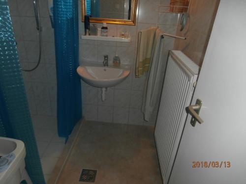 a small bathroom with a sink and a shower at szt.flórián in Cserszegtomaj