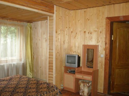 a bedroom with a bed and a television on a table at Sadyba Vyshenka in Tatariv