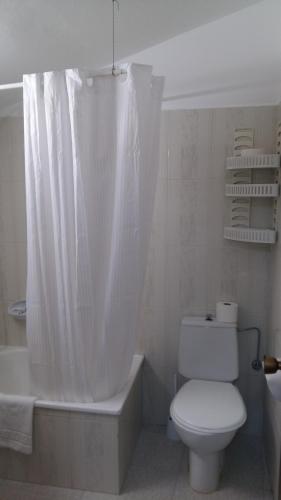 a bathroom with a toilet and a shower curtain at Pensión El Tabanu in Celorio