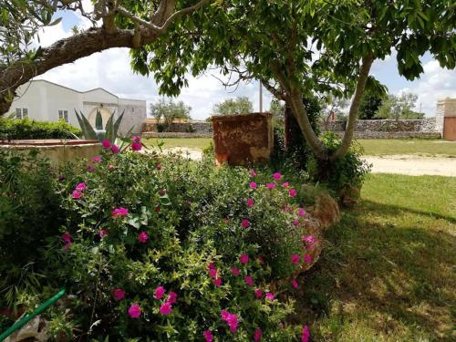 a garden with pink flowers and a tree at B&B Villa Flora in Santeramo in Colle