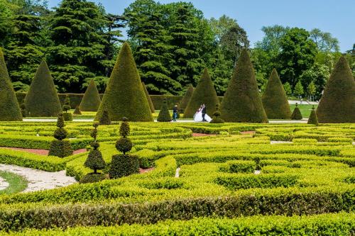 a garden in versailles with a bride and groom at ibis Styles Sceaux Paris Sud in Sceaux
