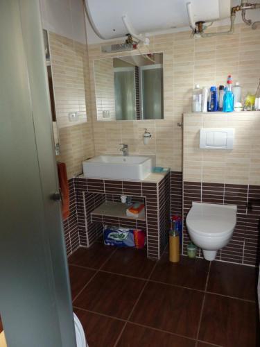a bathroom with a sink and a toilet at Chatka u šindelára in Liptovský Mikuláš