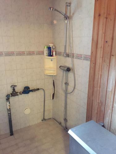 a bathroom with a shower and a toilet in it at Stuga vid Hedenäsets stencafé in Hedenäset