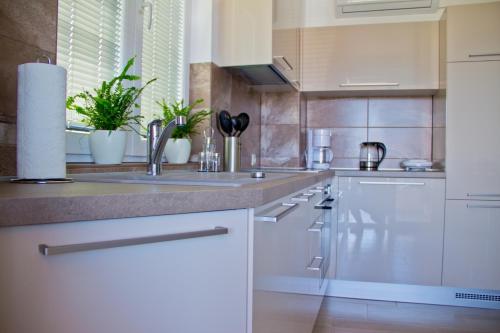 Dapur atau dapur kecil di Apartmani Žorić