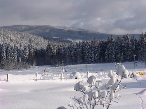 a snow covered ski slope with trees in the background at Penzion Martin in Janske Lazne