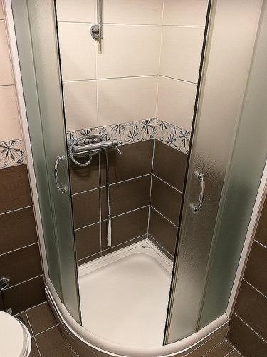 a shower with a glass door in a bathroom at Apartmani i sobe Goca in Herceg-Novi