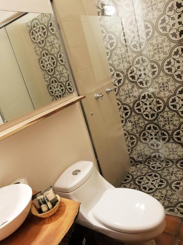 a bathroom with a white toilet and a sink at Puerta San Pedro in Guadalajara