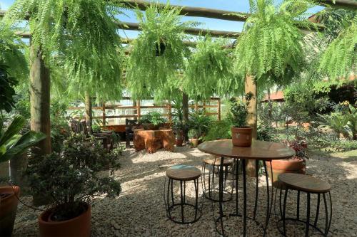 a garden with a table and chairs and plants at Hotel Mantovani in Águas de Lindóia