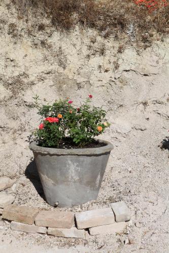 Κήπος έξω από το B&B Lavanda e Rosmarino