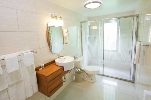 a bathroom with a sink and a toilet and a shower at Simpson Bay Suites in Simpson Bay