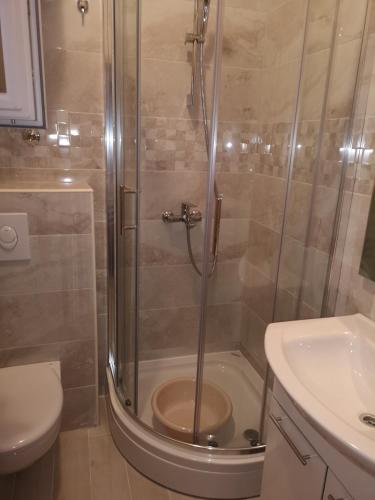 a bathroom with a shower and a toilet and a sink at Apartmani Sea in Baška Voda