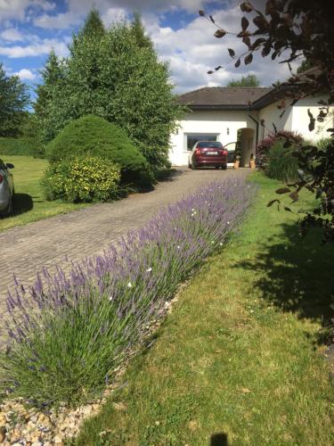 a house with purple flowers on the side of a driveway at Studiový apartmán V Zahradě in Police nad Metují