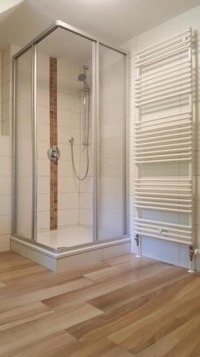 een douche in een kamer met een glazen wand bij Haus Kuhlmann in Altenau