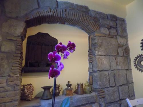 a purple flower in front of a stone fireplace at Al Cardinale in Viterbo