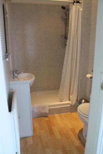 a bathroom with a shower and a sink and a toilet at Malin House Hotel in Saundersfoot