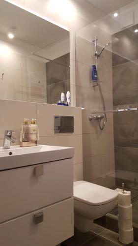 ein Bad mit einem WC, einem Waschbecken und einer Dusche in der Unterkunft Apartament Morski przy Latarni in Darłówko